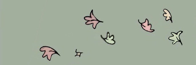 earin99's profile banner image
