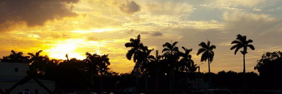 myourich's profile banner image