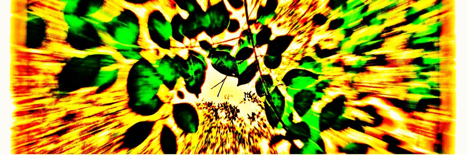 AtOneWE's profile banner image