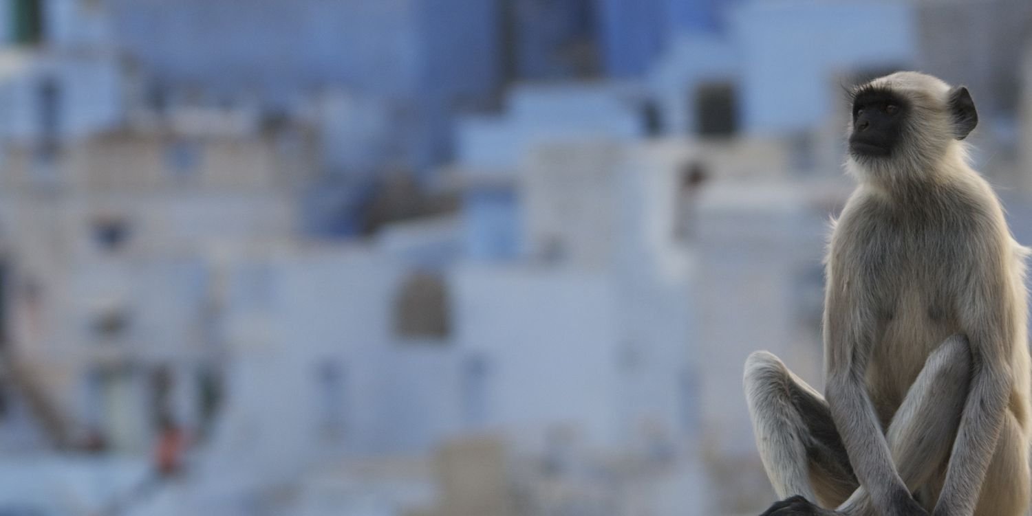 AndrewYoak's profile banner image