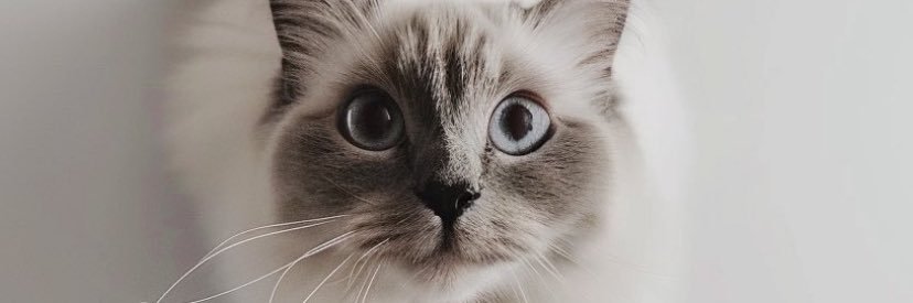 Òmókẹhìndé's banner