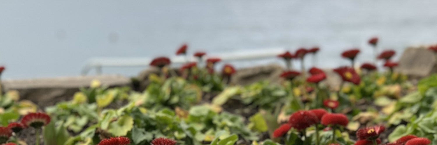 EngSalama94's profile banner image