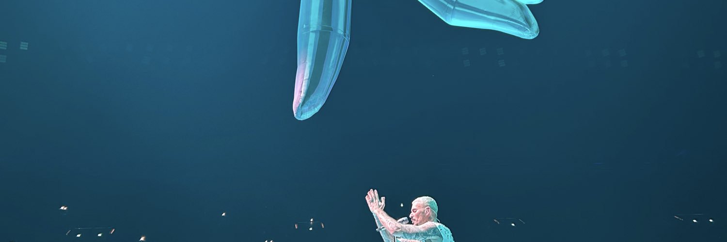 maell_b's profile banner image