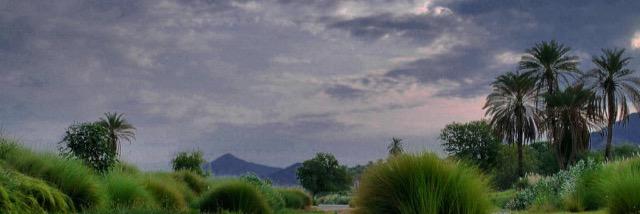 shehrish3's profile banner image