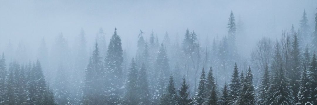 MeldaSinem's profile banner image
