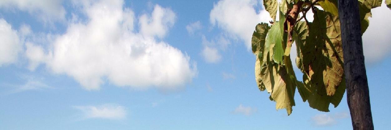 durvumi's profile banner image