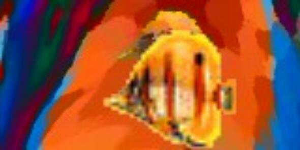 NadyneBucci's profile banner image
