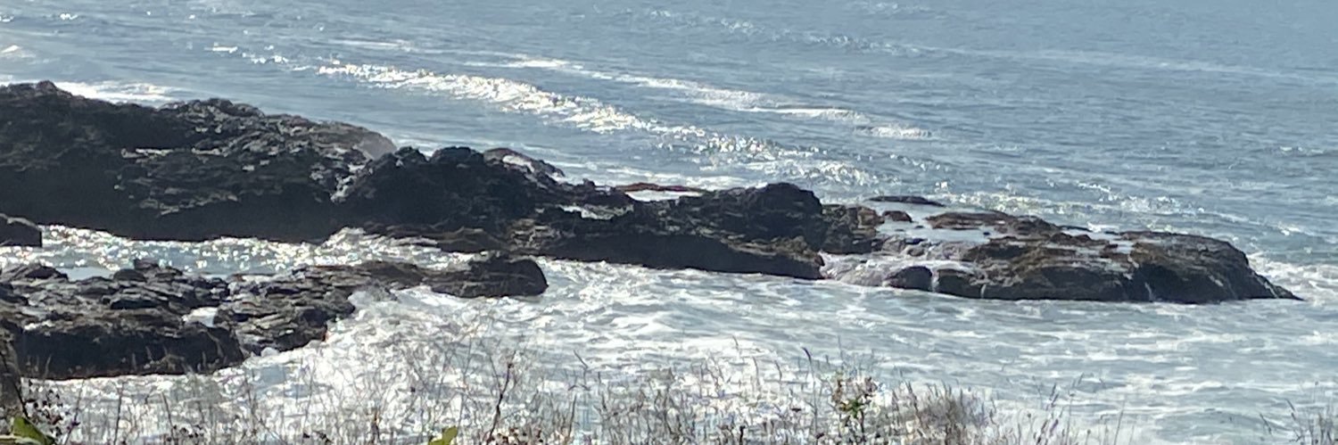 Mother of Inside-Out Cats banner