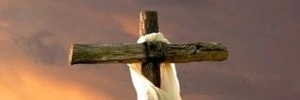 DMSeII4Mayor Profile Banner