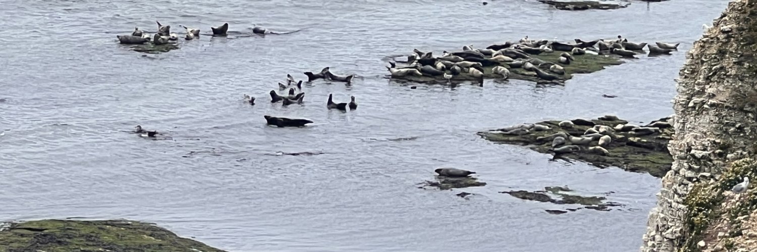 Dagenham Dave ↙️↙️↙️🚩⚑ banner