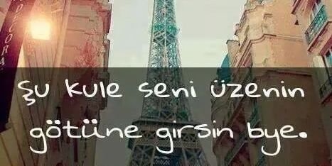 DilaraCekeroglu's profile banner image