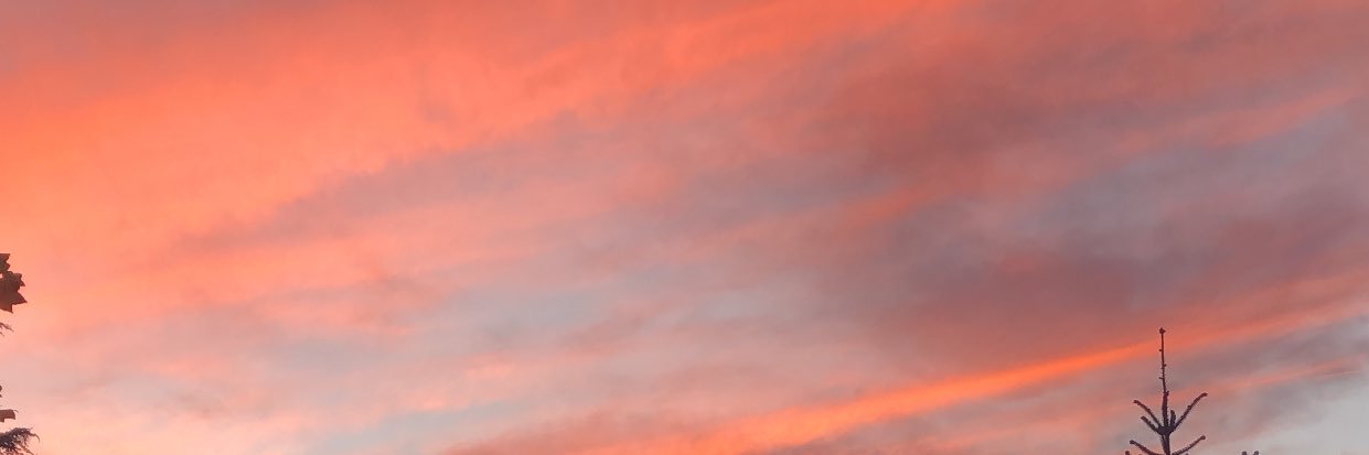 alecarmil's profile banner image