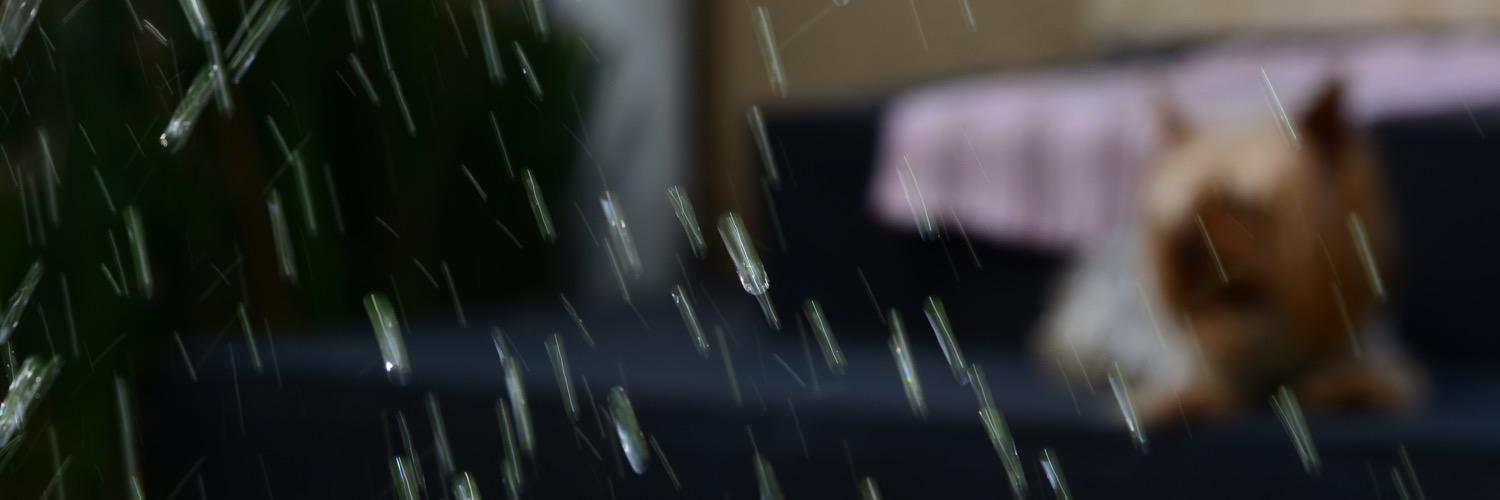 kook_lei's profile banner image