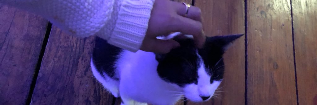 melinvidela's profile banner image