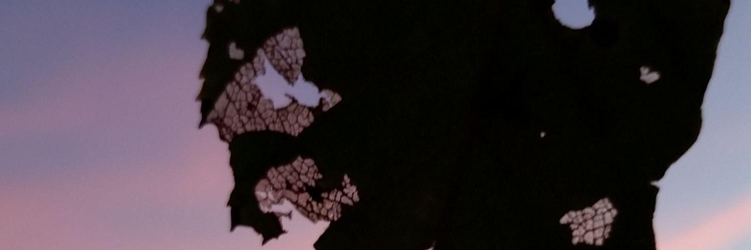 latethoughtsfty's profile banner image