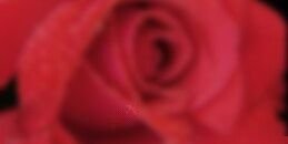 0000022745's profile banner image