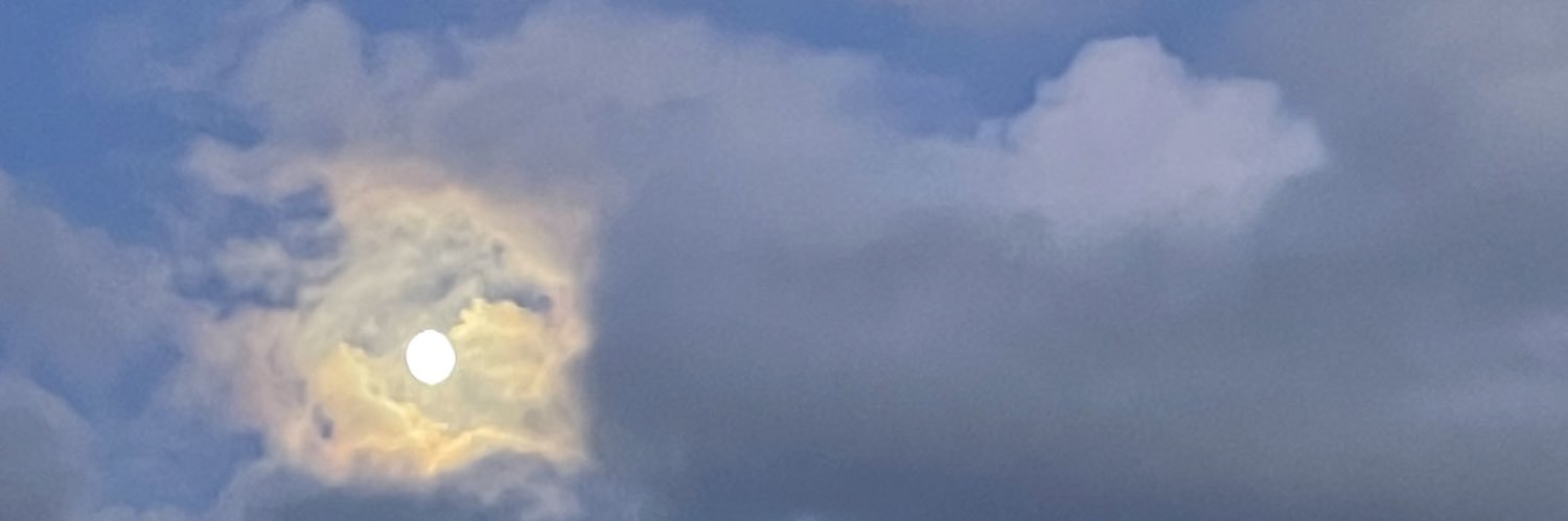 ayellaaaa's profile banner image