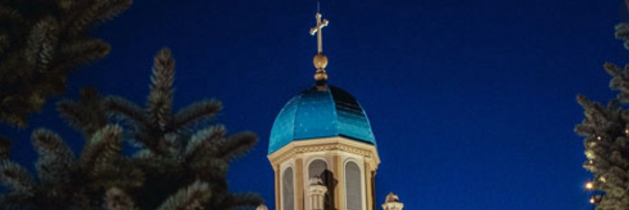 Dr. ali carr-chellman banner