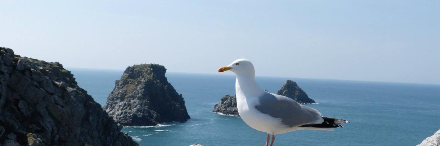 nellynedelec's profile banner image