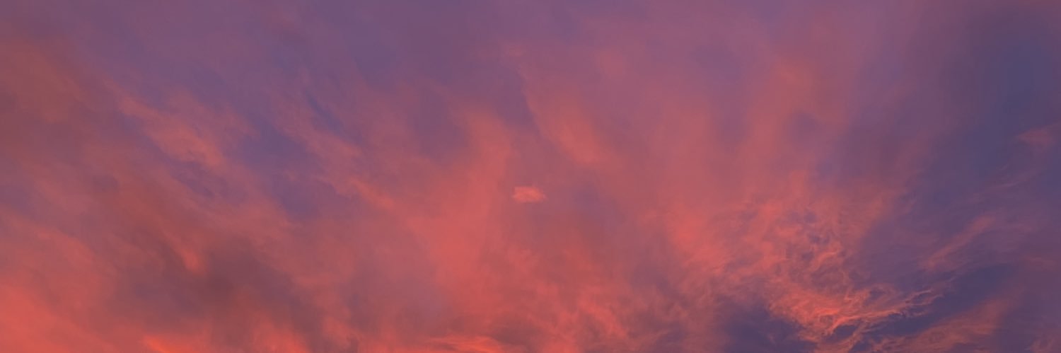 bipp_17's profile banner image