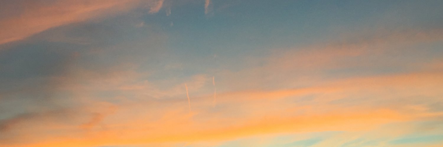 erin shimojo banner