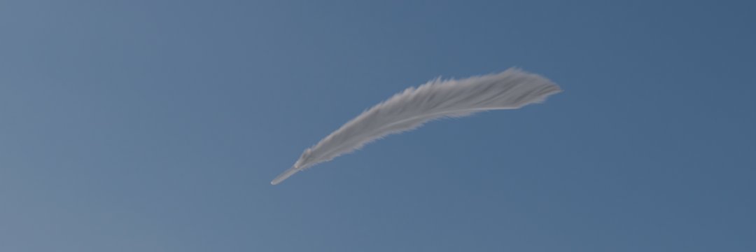 omarcaselissolo's profile banner image