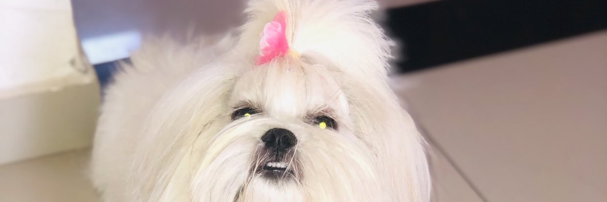 _rakemy's profile banner image