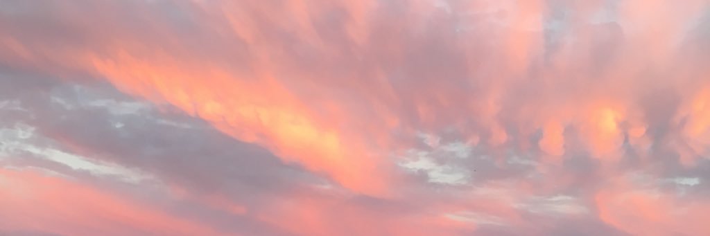 KaraUllrich's profile banner image