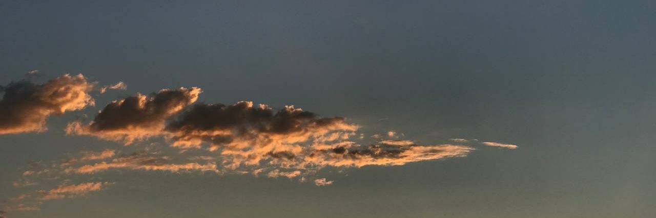 Omaymaedris's profile banner image