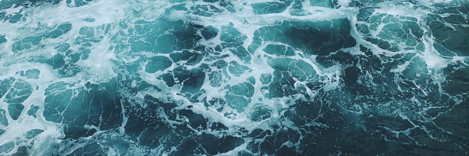 leeluleilani's profile banner image