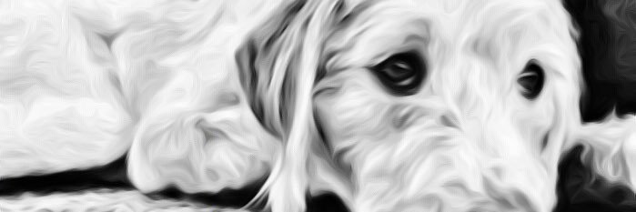 UberUncleMatty's profile banner image