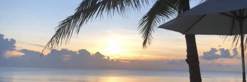 anetluz22's profile banner image