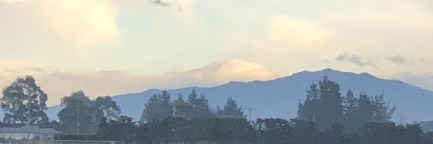 Schellby's profile banner image