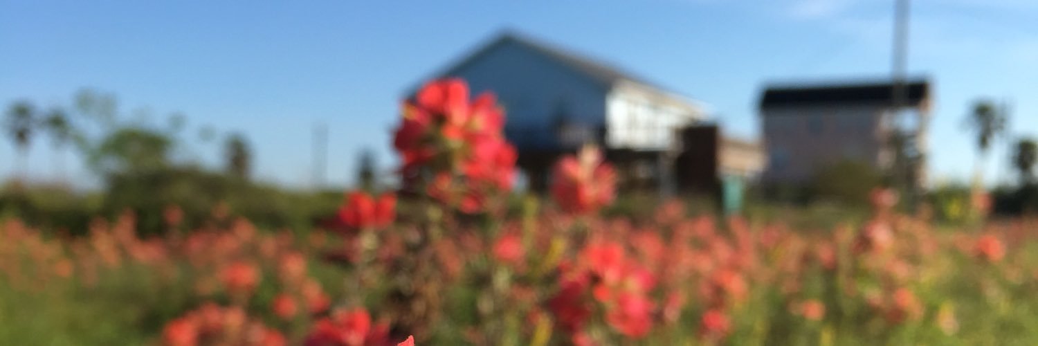 de_la_stephy's profile banner image