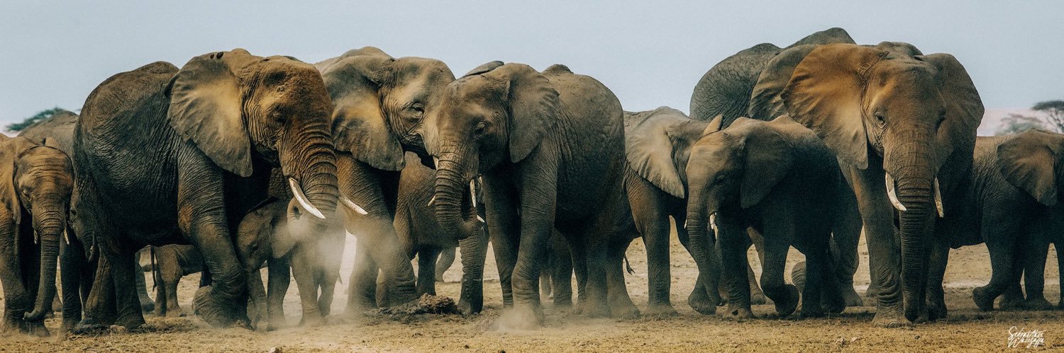 Nananjeri's profile banner image