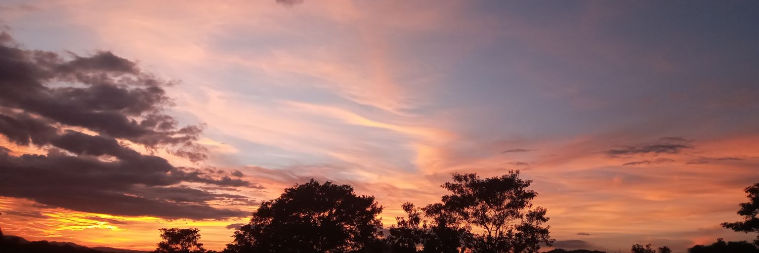 adinHC's profile banner image