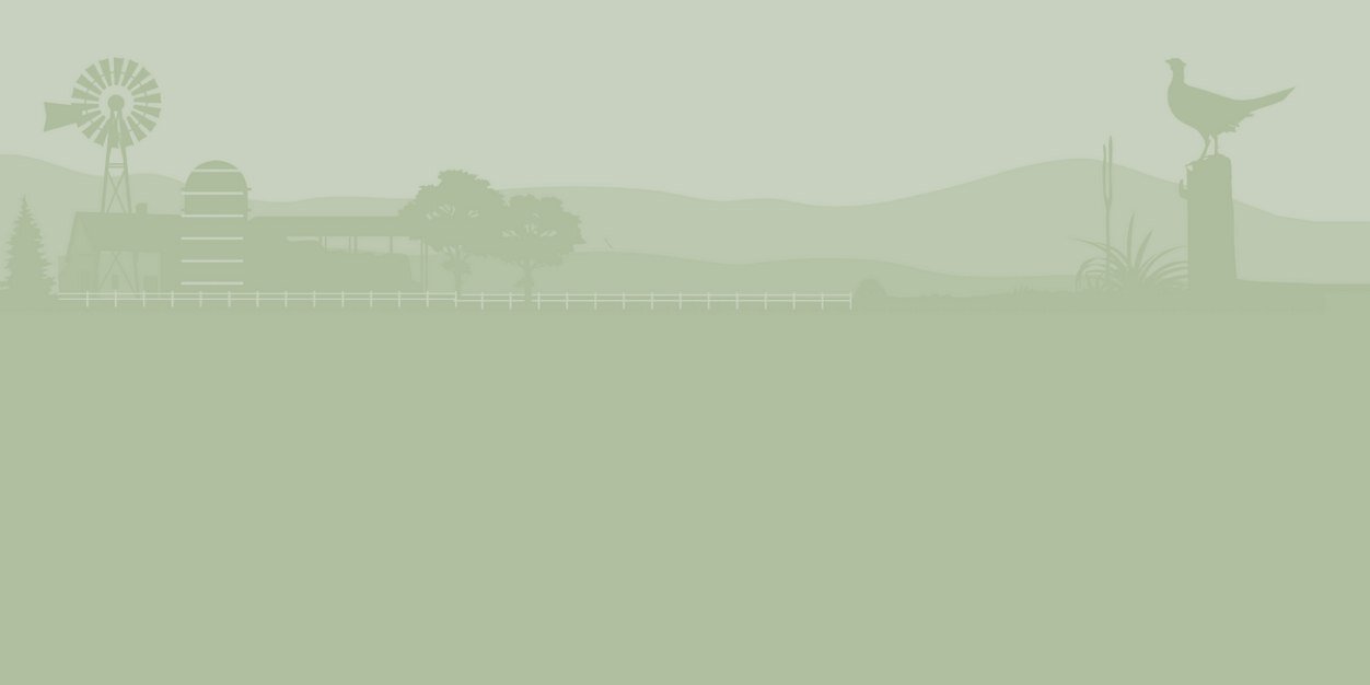 Rowe Farms Roncy banner