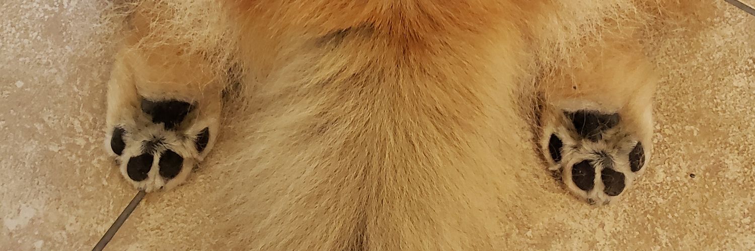 baeciso's profile banner image