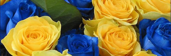 наталья бурлуцкая banner