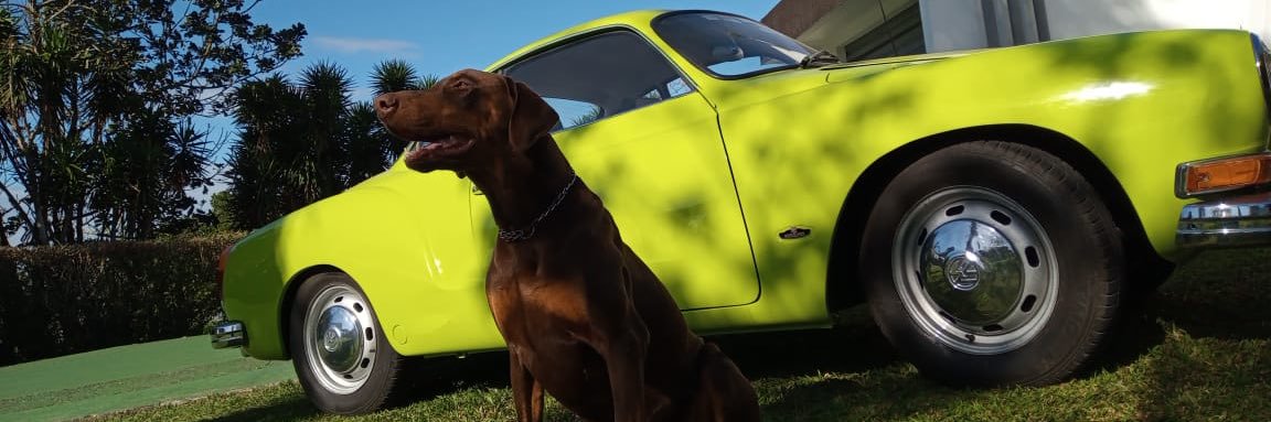 María Inés Solís banner