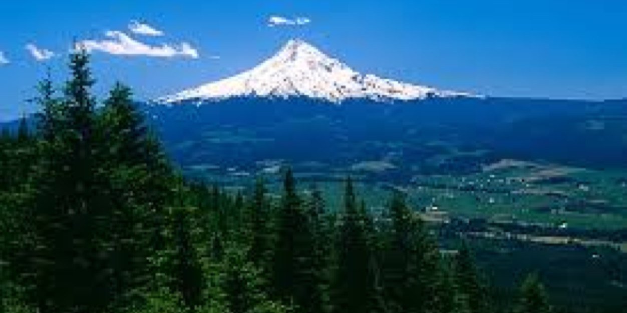 OregonBeauties's profile banner image