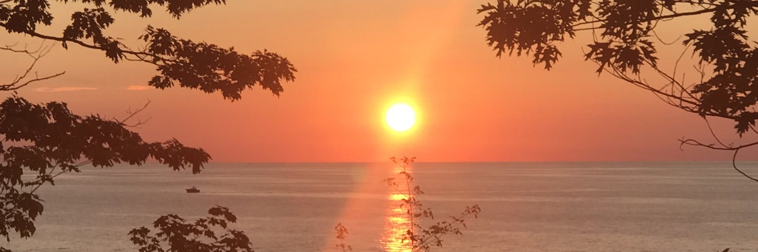 maranjen's profile banner image