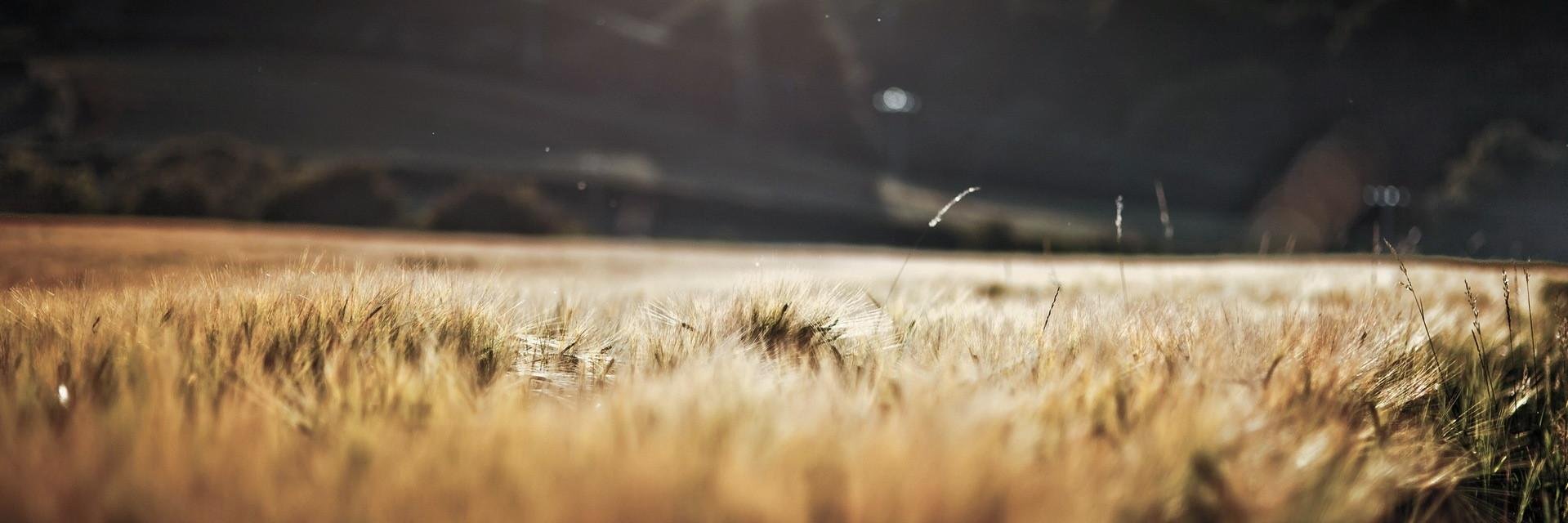 OnlySmartWatch's profile banner image