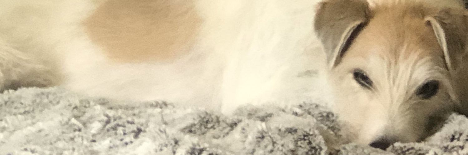 AlexJPainter's profile banner image