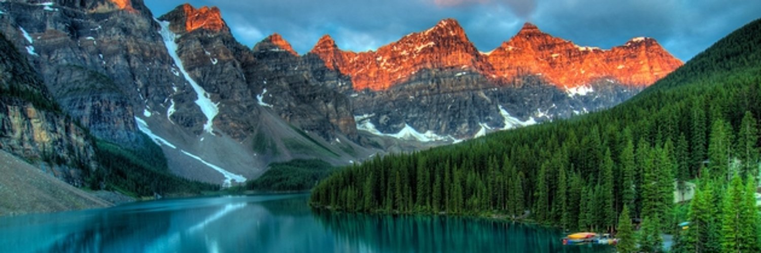 TamPapp's profile banner image