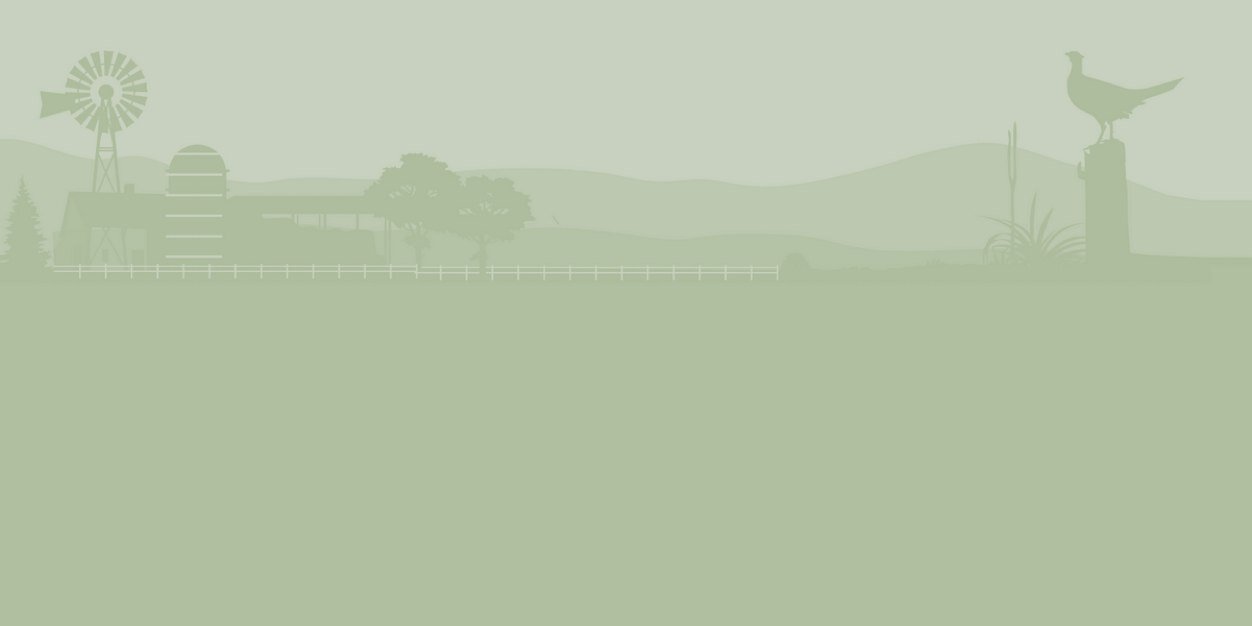 Rowe Farms The Beach banner