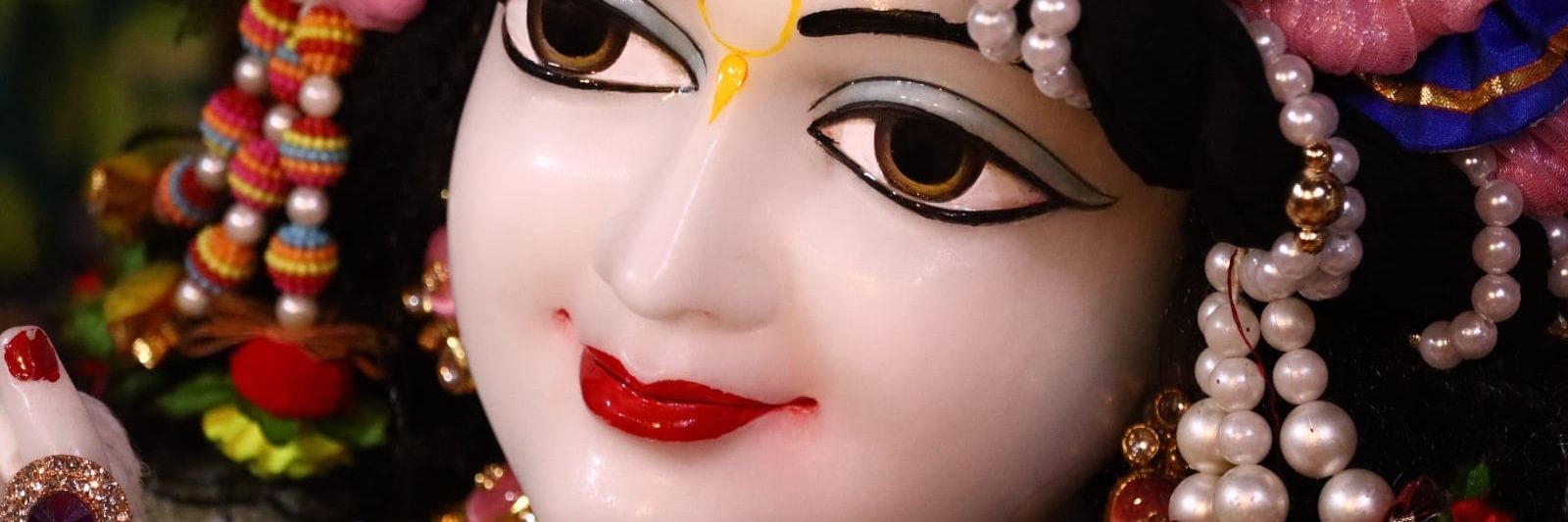 shekhar1's profile banner image