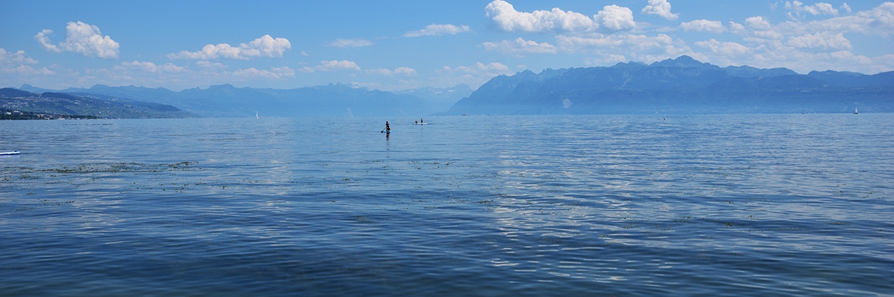 Florian Brunner banner