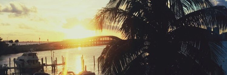 DanielleMFox's profile banner image