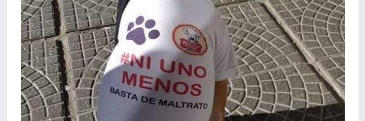 Victoria Romero Cogorno banner